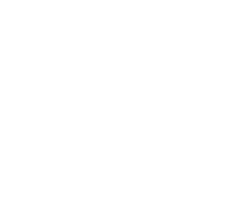 health icon